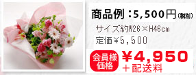 商品例:サイズ約W26×H46㎝