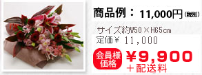  商品例:サイズ約W50×H65㎝
