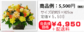 商品例:約W25×H25㎝