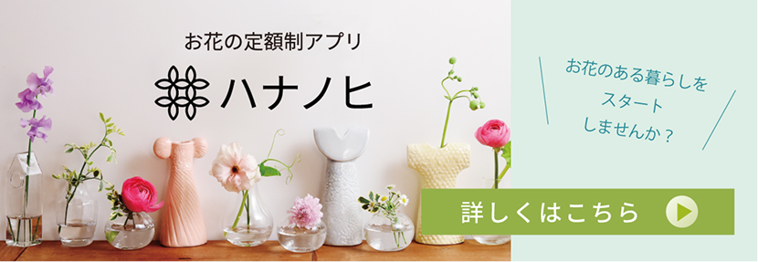 花の定期便 ハナノヒ