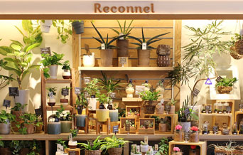 Nicolai Bergmann Flowers Design 新宿店 新宿三丁目 花 Pathee パシー